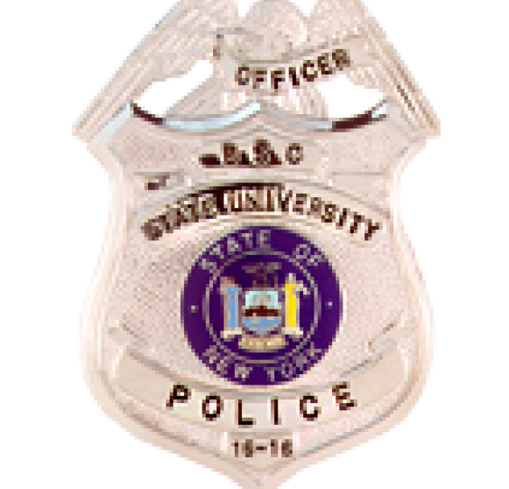 image of metal UPD Badge