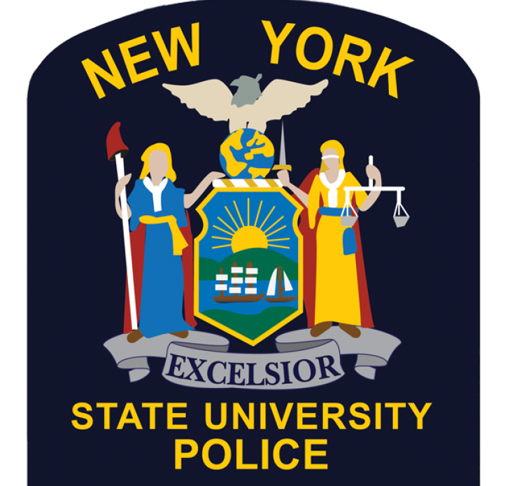 UPD Patch ( typically worn on clothing)
